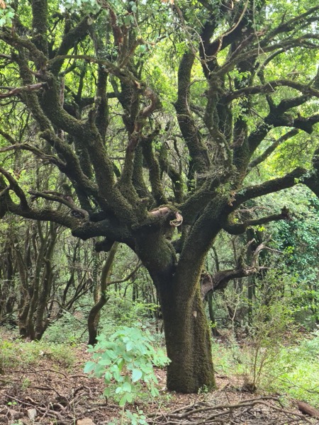 PHOTO 2022 07 11 15 58 44