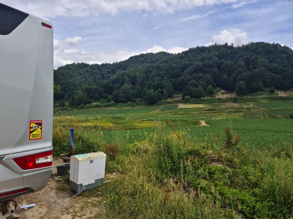 PHOTO 2022 07 11 15 58 58