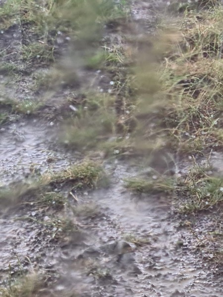 PHOTO 2022 07 11 15 59 39