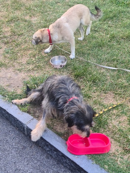 PHOTO 2022 08 08 10 53 27