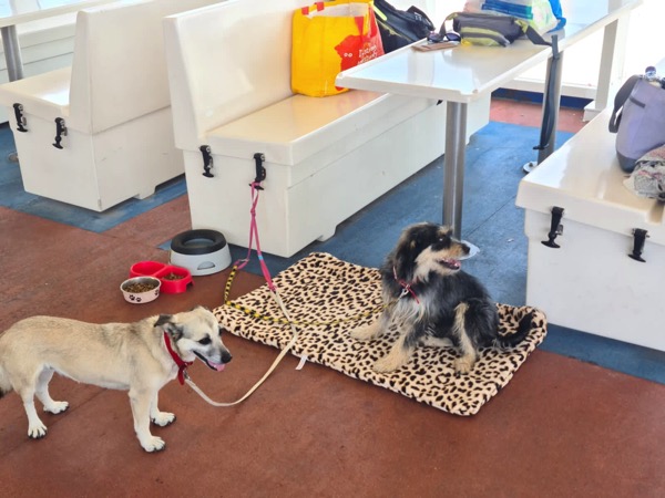 PHOTO 2022 08 08 10 53 28 4