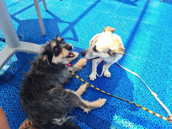 PHOTO 2022 08 08 10 53 29 4