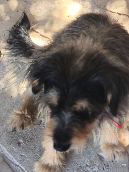 PHOTO 2022 08 08 10 53 30 2