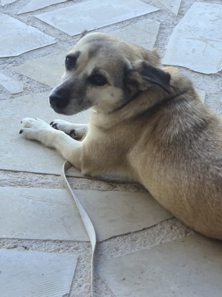 PHOTO 2022 08 08 10 53 30 3