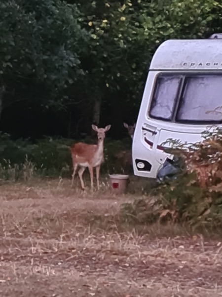 PHOTO 2022 08 08 10 56 47