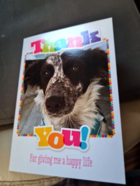 PHOTO 2022 08 08 10 56 48 2