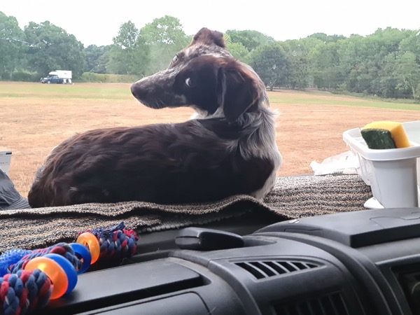 PHOTO 2022 08 08 10 56 48 5