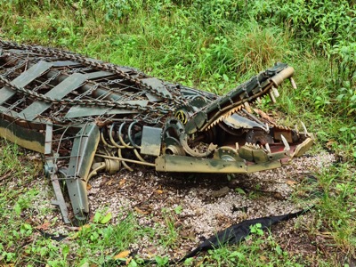 PHOTO 2022 09 09 18 56 31 2