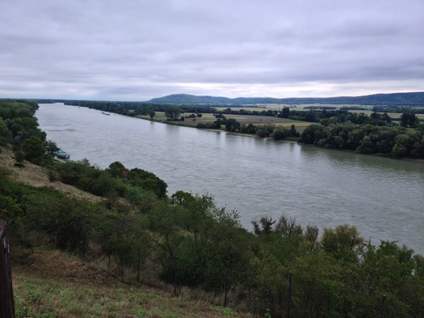 PHOTO 2022 09 09 18 56 34 4