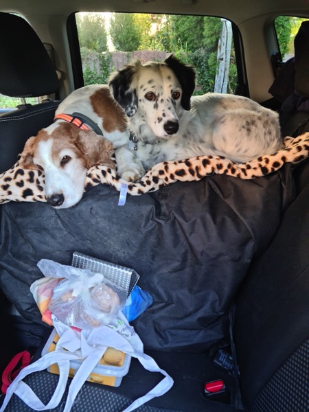 PHOTO-2022-09-09-18-56-35 4.jpg PHOTO 2022 09 09 18 56 35 4