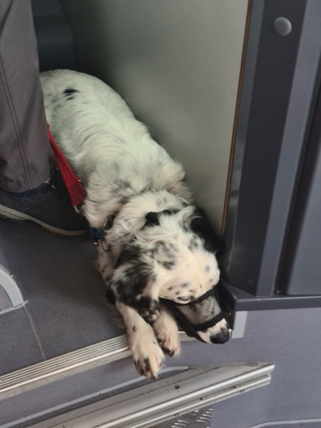 PHOTO 2022 09 10 21 39 51 4