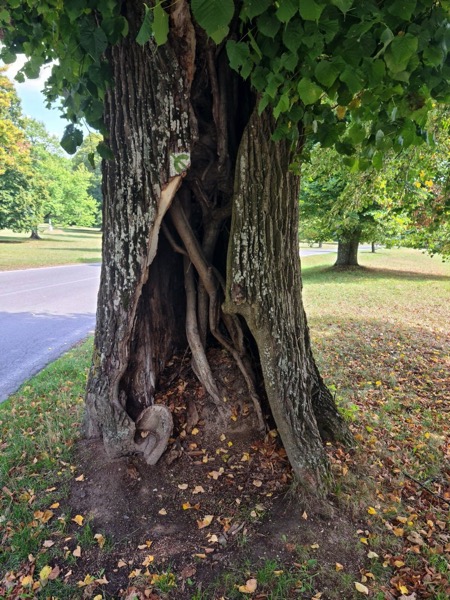 PHOTO 2022 09 10 21 40 53 5