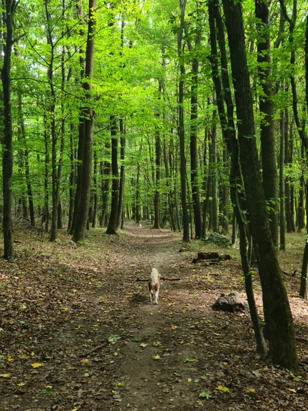 PHOTO 2022 09 10 21 40 53 6