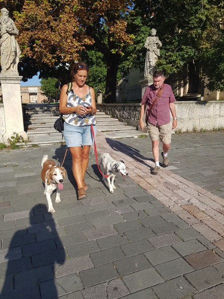 PHOTO 2022 09 10 21 42 56 2