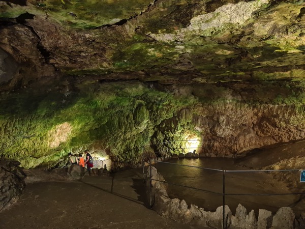 PHOTO 2022 09 11 13 20 03