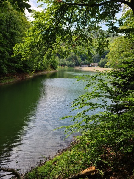 PHOTO 2022 09 11 13 20 05 2