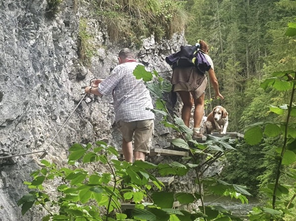 PHOTO 2022 09 11 13 22 59 8