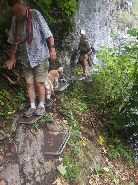 PHOTO 2022 09 11 13 23 01 2