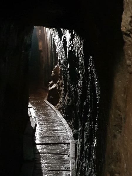 PHOTO 2022 09 11 13 24 34