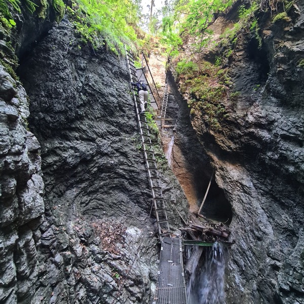 PHOTO 2022 09 14 17 57 35 4