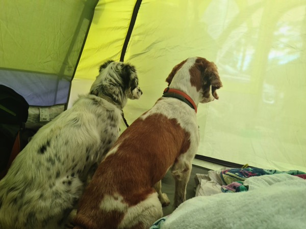 PHOTO 2022 09 14 17 57 36 8