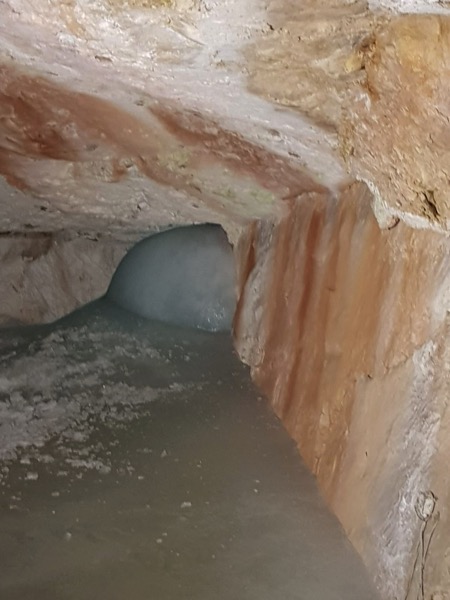 PHOTO 2022 09 22 16 16 14 2