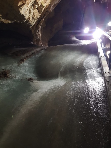 PHOTO 2022 09 22 16 16 14 3