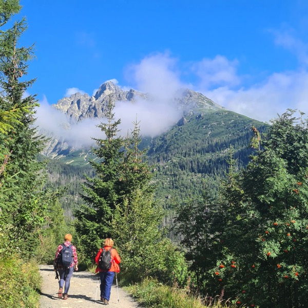 PHOTO 2022 09 22 17 04 44 3