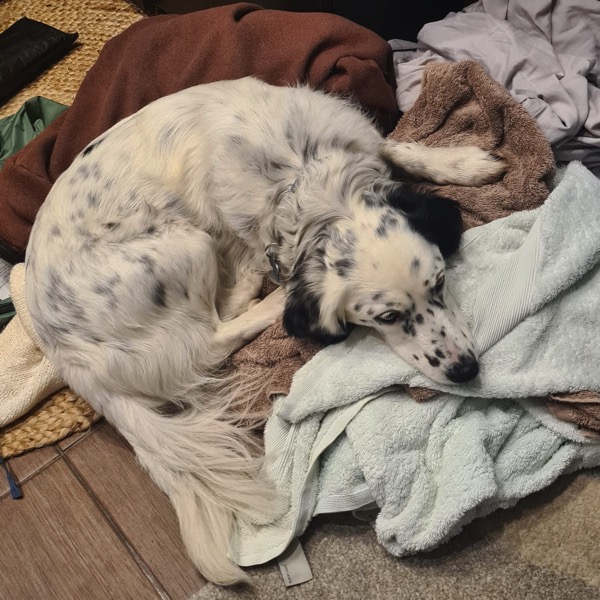 PHOTO 2022 09 22 19 42 25 3