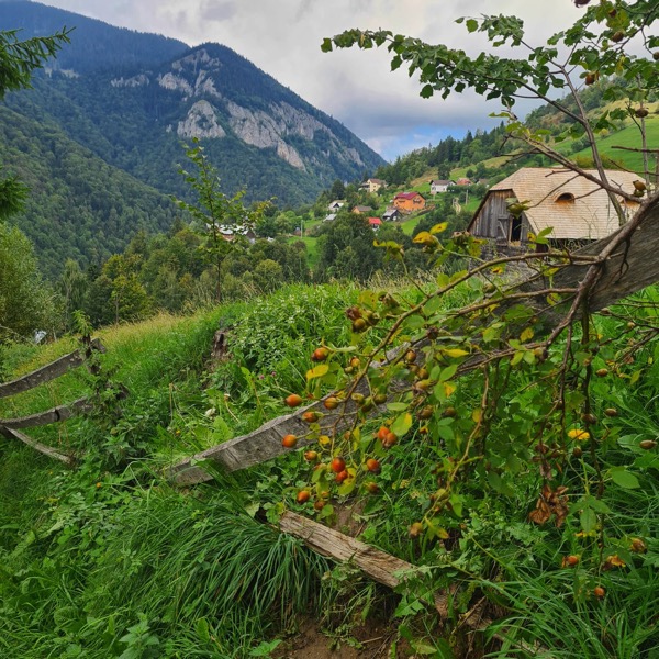 PHOTO 2022 09 22 19 45 12