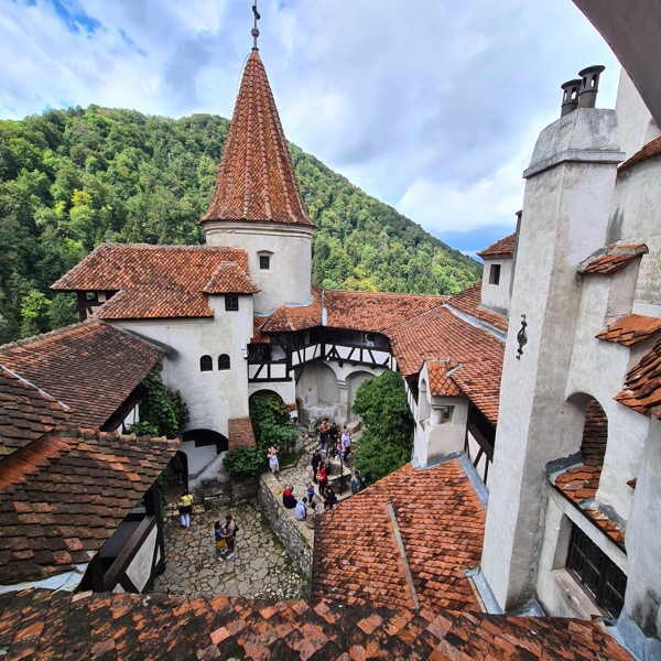 PHOTO 2022 09 22 19 45 48 3