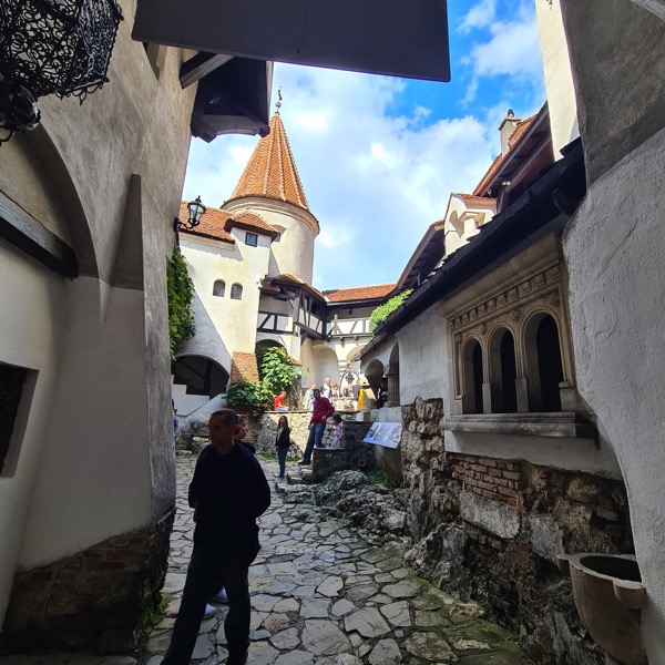 PHOTO 2022 09 22 19 45 51 3