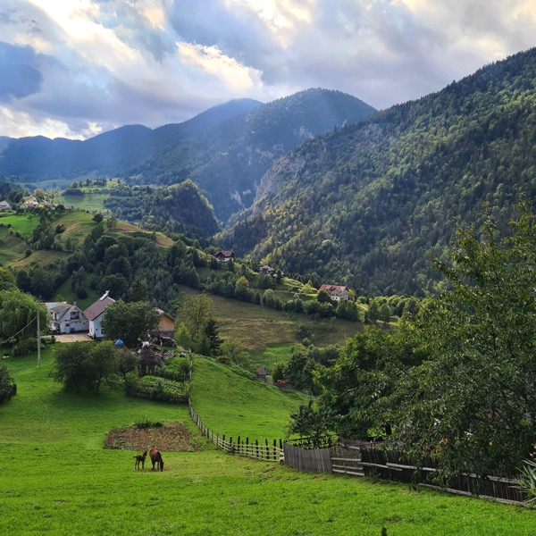 PHOTO 2022 09 22 19 48 12 2