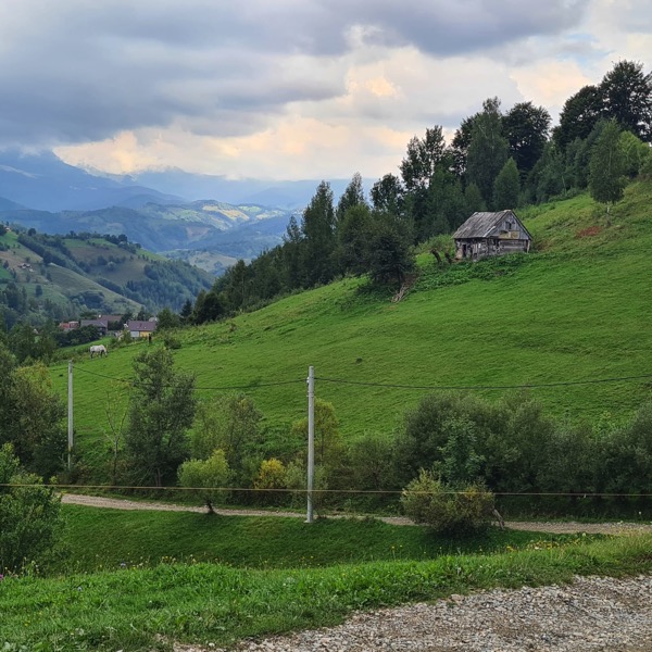 PHOTO 2022 09 22 19 48 15