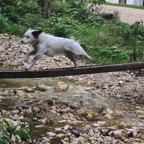 PHOTO 2022 09 24 13 40 59 2