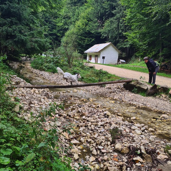 PHOTO 2022 09 24 13 40 59 3