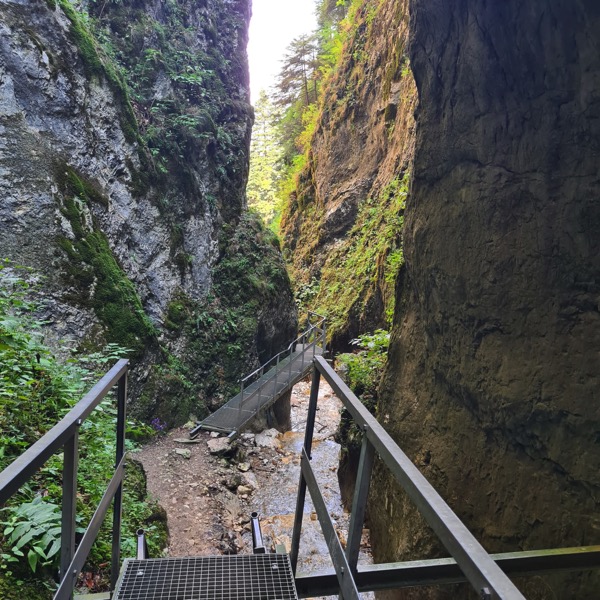 PHOTO 2022 09 30 13 01 56 2