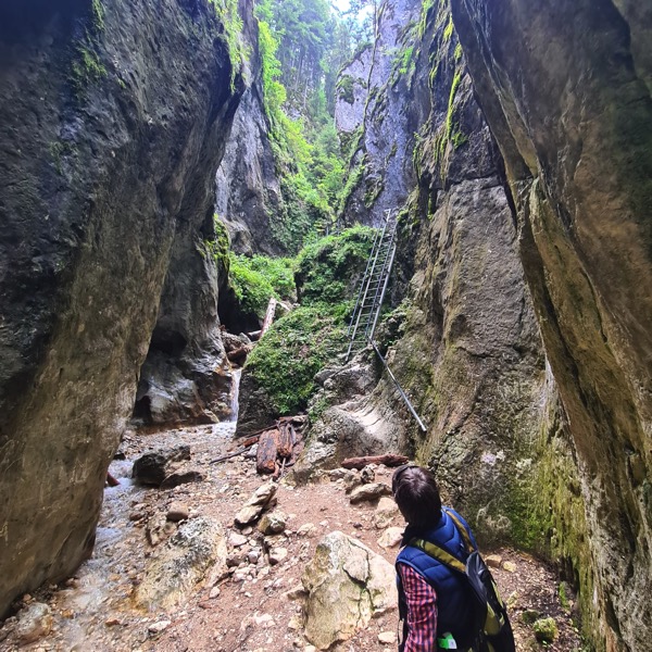 PHOTO 2022 09 30 13 02 08 2