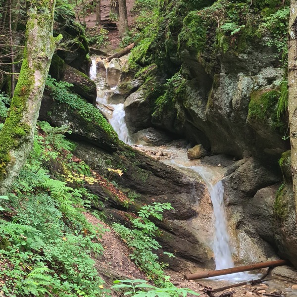 PHOTO 2022 09 30 13 02 48 2