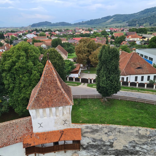 PHOTO 2022 09 30 14 04 47 2