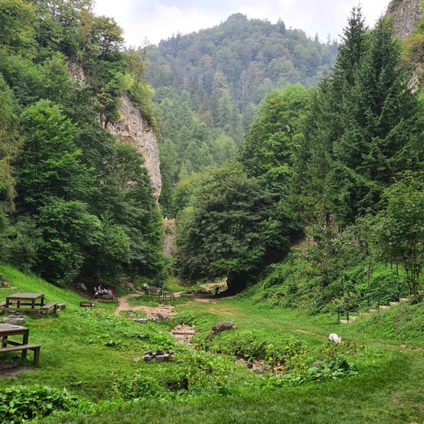 PHOTO 2022 09 30 14 05 50 3